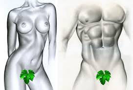 Educacion Sexual